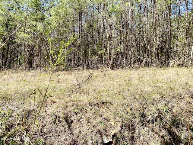 396 Beulah Rd, Tellico Plains, TN 37385