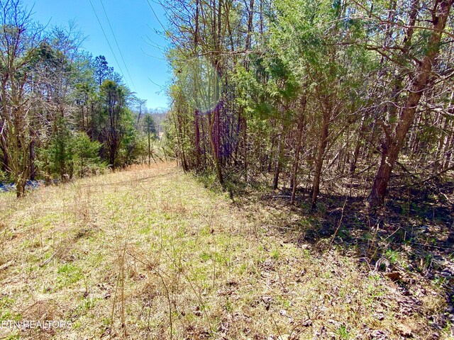396 Beulah Rd, Tellico Plains, TN 37385