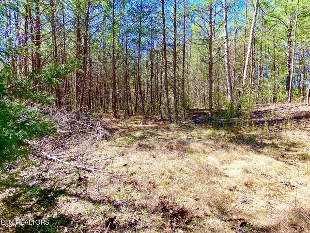 396 Beulah Rd, Tellico Plains, TN 37385