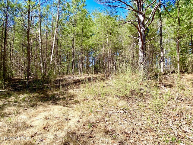 396 Beulah Rd, Tellico Plains, TN 37385