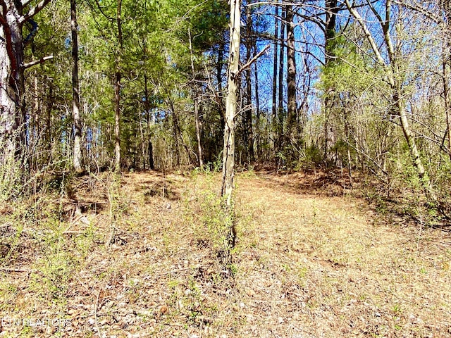 396 Beulah Rd, Tellico Plains, TN 37385
