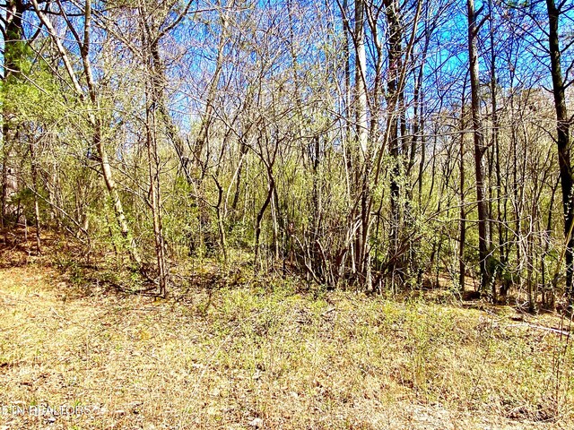 396 Beulah Rd, Tellico Plains, TN 37385