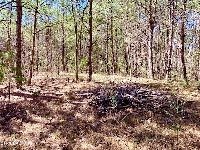 396 Beulah Rd, Tellico Plains, TN 37385