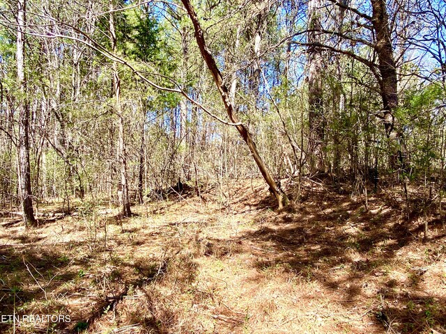 396 Beulah Rd, Tellico Plains, TN 37385