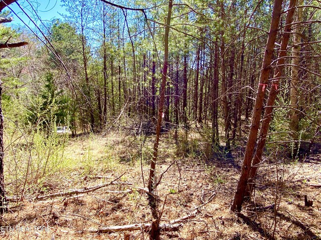 396 Beulah Rd, Tellico Plains, TN 37385