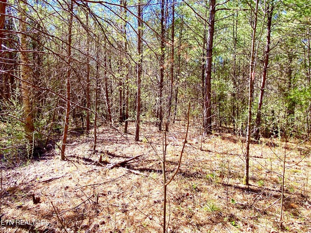 396 Beulah Rd, Tellico Plains, TN 37385