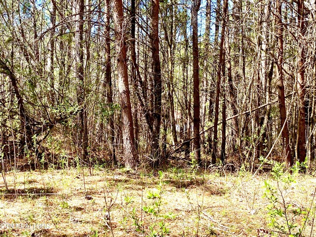 396 Beulah Rd, Tellico Plains, TN 37385