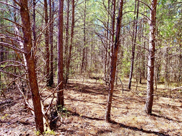 396 Beulah Rd, Tellico Plains, TN 37385