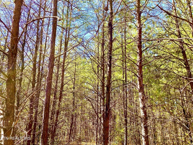 396 Beulah Rd, Tellico Plains, TN 37385