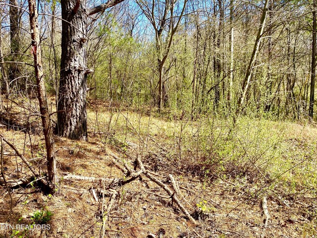396 Beulah Rd, Tellico Plains, TN 37385