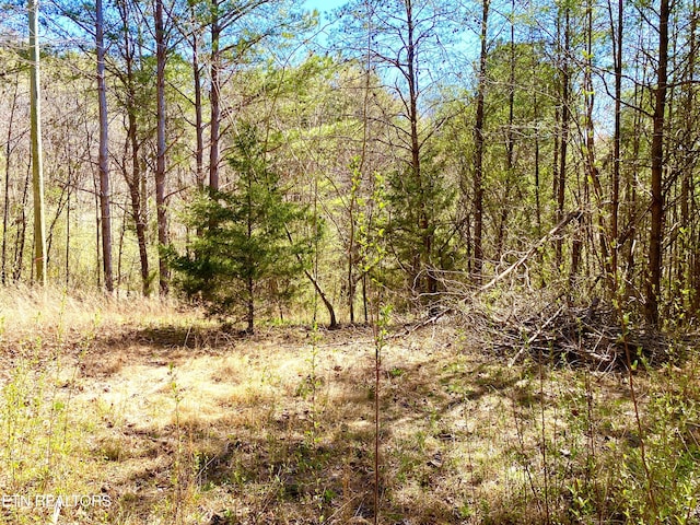 396 Beulah Rd, Tellico Plains, TN 37385