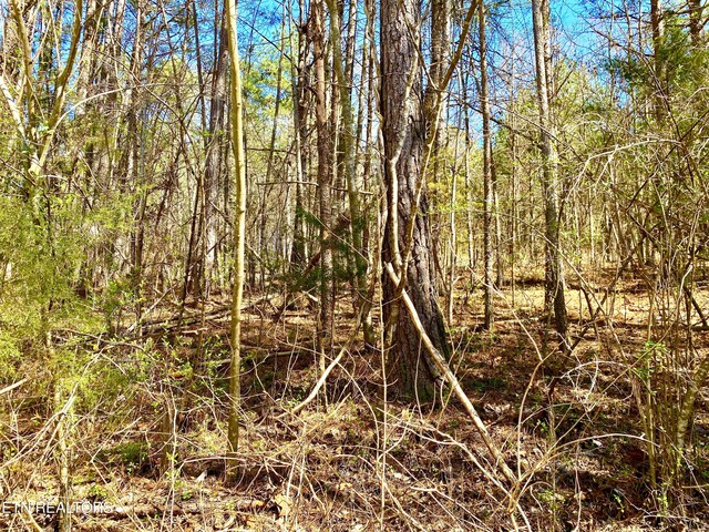 396 Beulah Rd, Tellico Plains, TN 37385