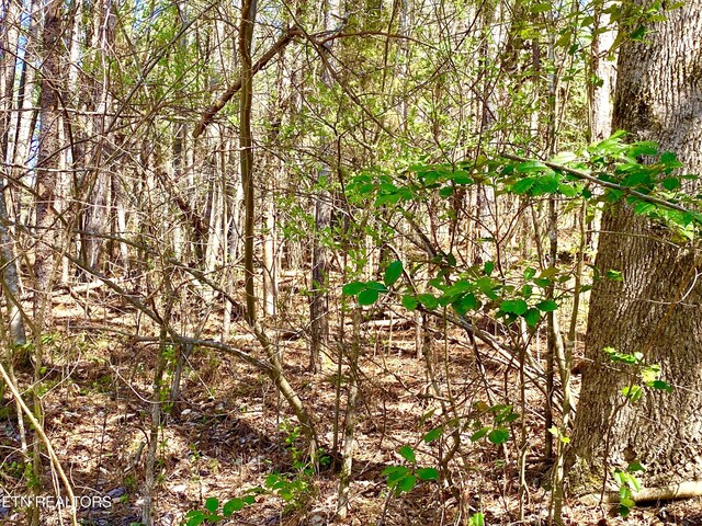 396 Beulah Rd, Tellico Plains, TN 37385