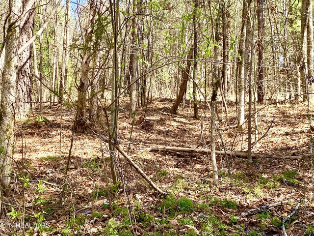 396 Beulah Rd, Tellico Plains, TN 37385