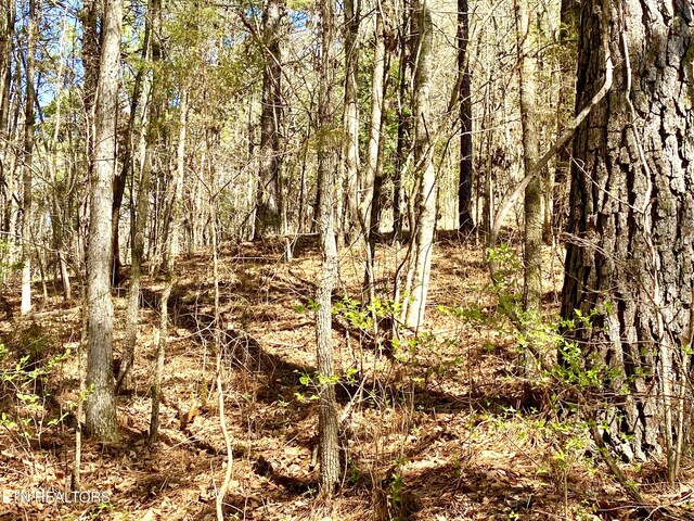 396 Beulah Rd, Tellico Plains, TN 37385