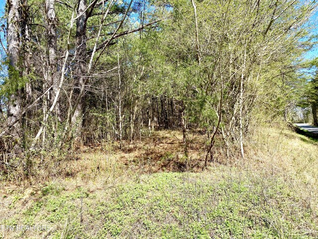 396 Beulah Rd, Tellico Plains, TN 37385
