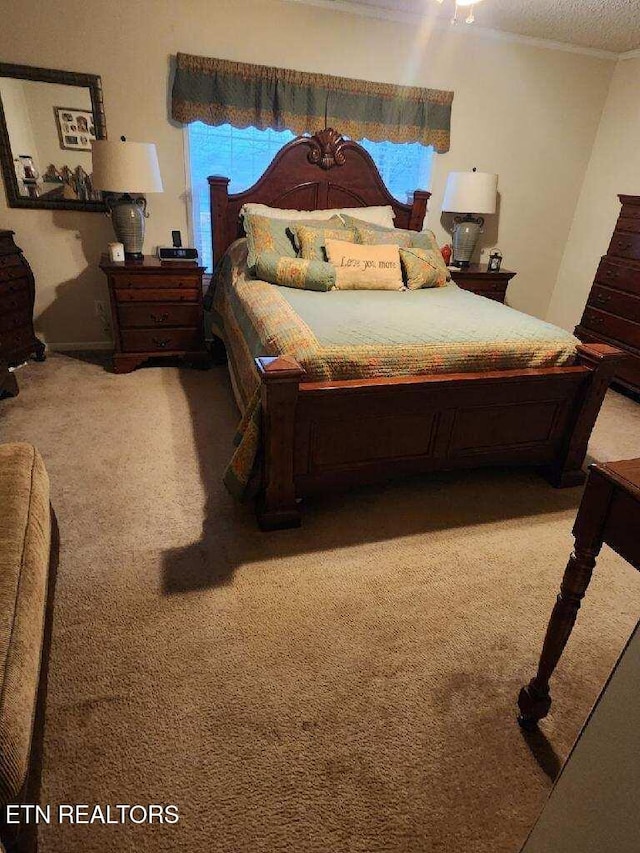 145 Liles Ln, Rocky Top, TN 37769 - bedroom featuring carpet floors