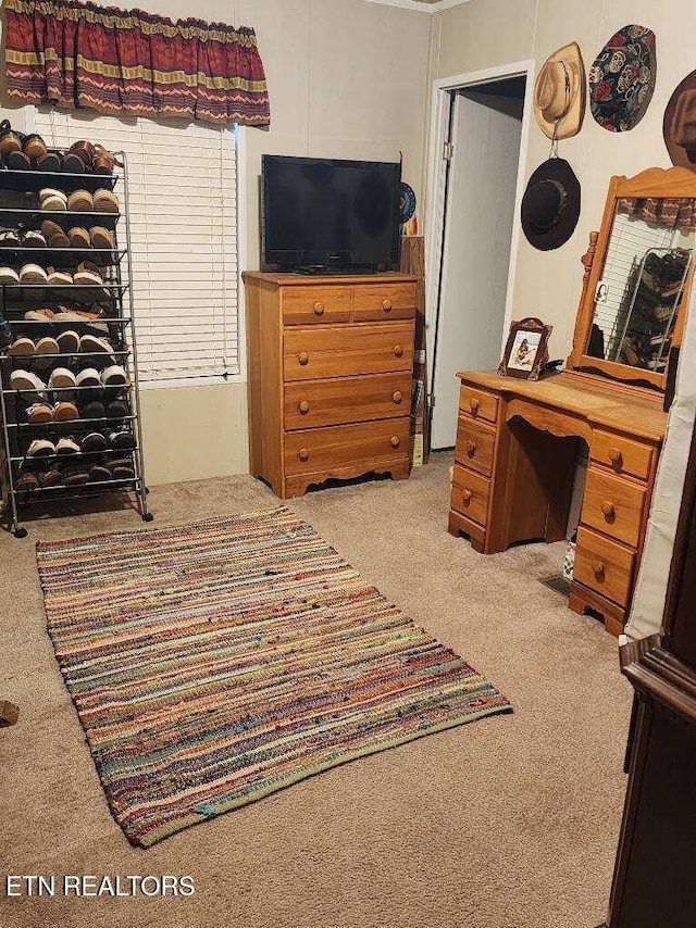 145 Liles Ln, Rocky Top, TN 37769 - bedroom featuring carpet floors
