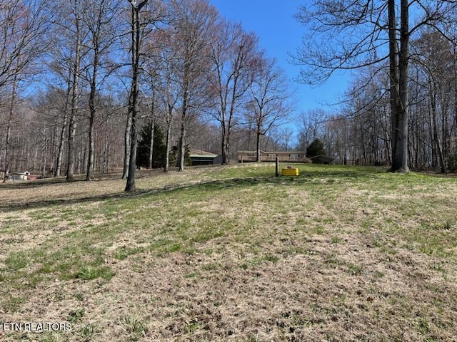 145 Liles Ln, Rocky Top, TN 37769 - view of yard featuring a view of trees