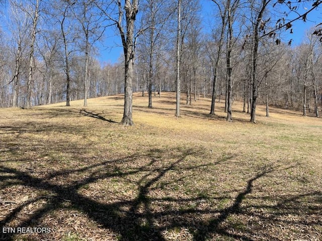 145 Liles Ln, Rocky Top, TN 37769 - view of yard