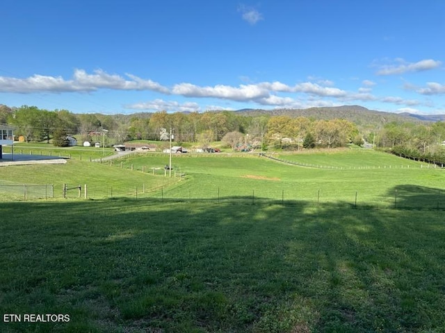 145 Liles Ln, Rocky Top, TN 37769 - view of community featuring a rural view, a yard, a mountain view, and fence
