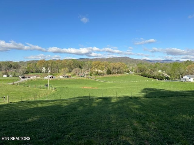 145 Liles Ln, Rocky Top, TN 37769 - view of home's community with a yard, fence, and a rural view