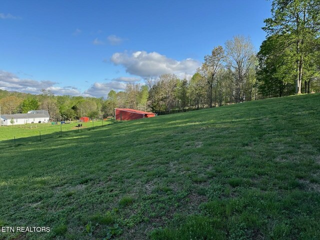 145 Liles Ln, Rocky Top, TN 37769 - view of yard featuring a wooded view, a pole building, an outdoor structure, and a rural view
