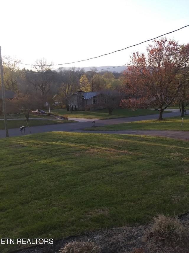 view of home's community with a yard