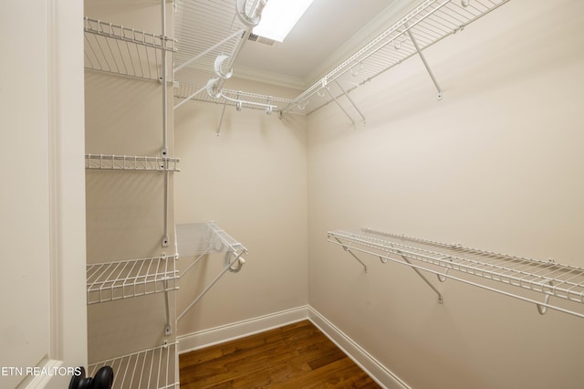 spacious closet featuring wood finished floors