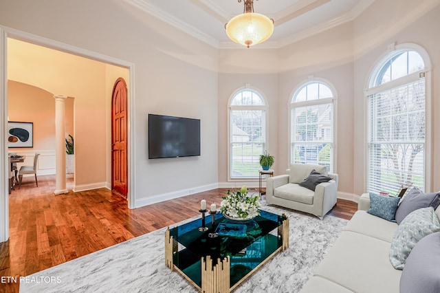 living room featuring ornate columns, ornamental molding, wood finished floors, and a raised ceiling