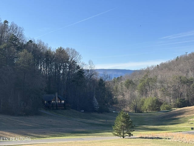 2560 Schisandra Ln Lane, Cosby, TN 37722 - mountain view with a forest