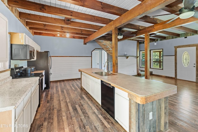 2560 Schisandra Ln Lane, Cosby, TN 37722 - kitchen with ceiling fan, stainless steel microwave, electric stove, black dishwasher, and a wainscoted wall