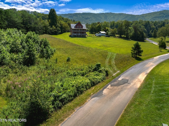 2560 Schisandra Ln Lane, Cosby, TN 37722 - view of subject property with mountains