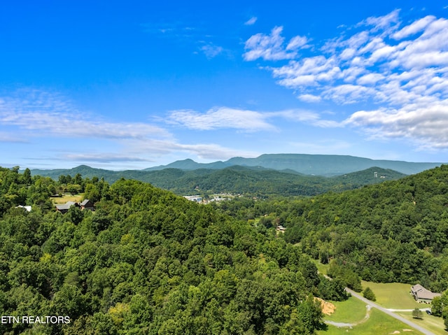 2560 Schisandra Ln Lane, Cosby, TN 37722 - view of mountain background with a heavily wooded area