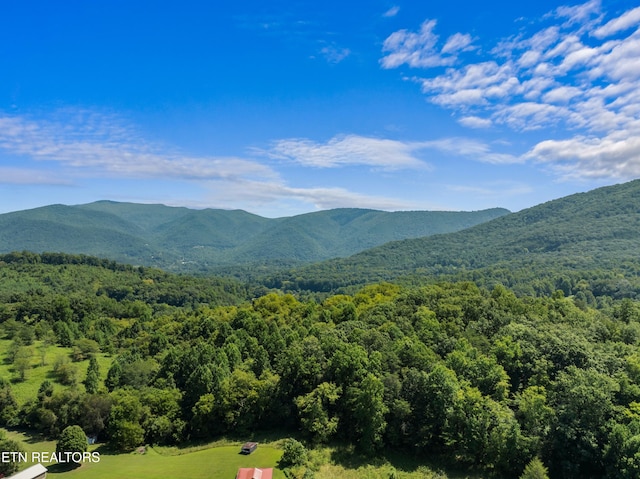 2560 Schisandra Ln Lane, Cosby, TN 37722 - view of mountain backdrop featuring a heavily wooded area