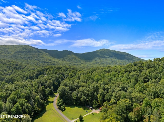 2560 Schisandra Ln Lane, Cosby, TN 37722 - mountain view with a heavily wooded area