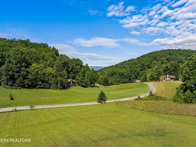 2560 Schisandra Ln Lane, Cosby, TN 37722 - view of property's community featuring a view of trees and a lawn