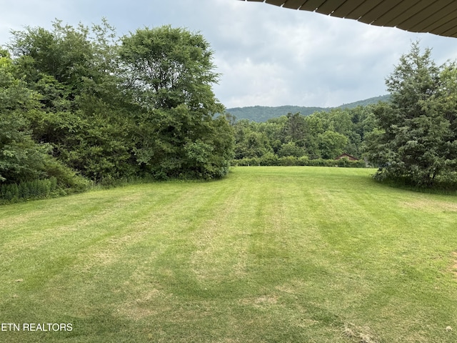 2560 Schisandra Ln Lane, Cosby, TN 37722 - view of grassy yard featuring a wooded view