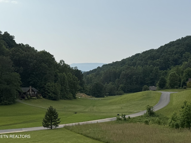 2560 Schisandra Ln Lane, Cosby, TN 37722 - view of home's community featuring a wooded view and a lawn