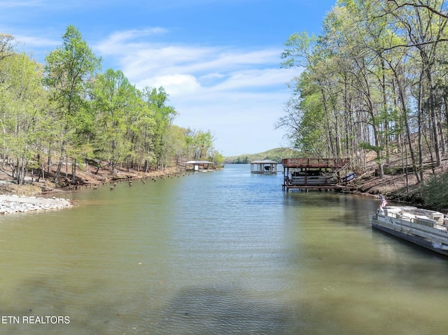 property view of water with a dock