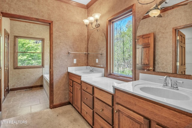 bathroom with a healthy amount of sunlight, double vanity, and a sink