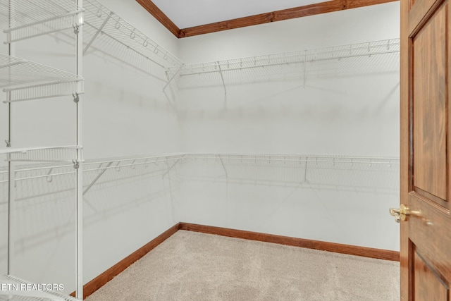spacious closet with carpet floors