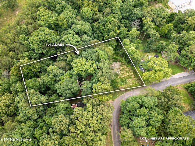 800 Lake Forest Dr, Lenoir City, TN 37772