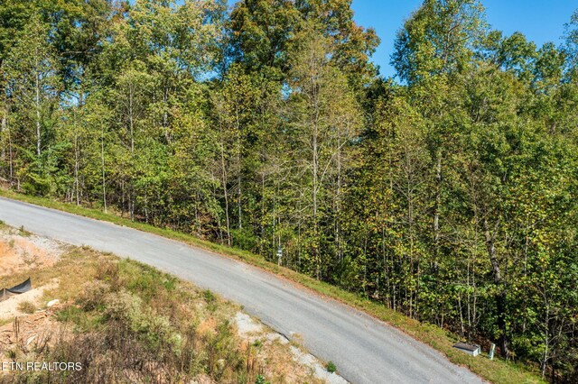 Alum Dr, New Tazewell, TN 37825