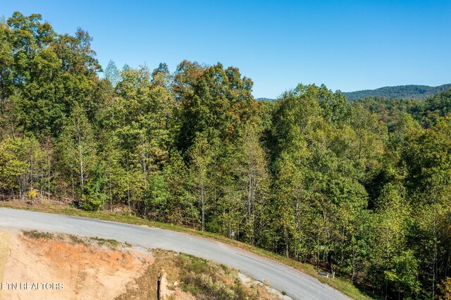 Alum Dr, New Tazewell, TN 37825
