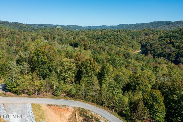 Alum Dr, New Tazewell, TN 37825