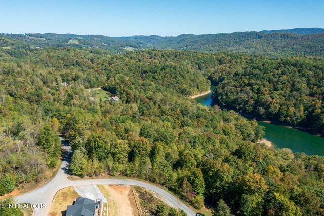 Alum Dr, New Tazewell, TN 37825