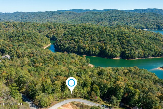 Alum Dr, New Tazewell, TN 37825