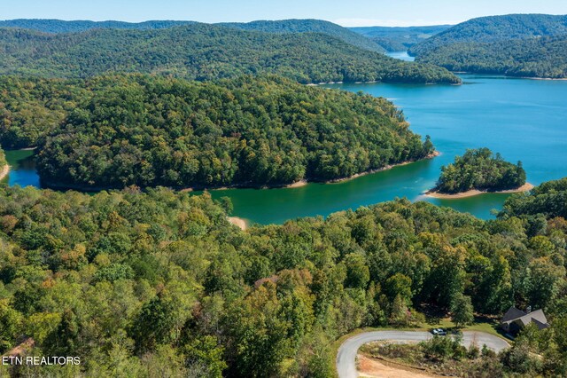 Alum Dr, New Tazewell, TN 37825