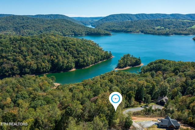 Alum Dr, New Tazewell, TN 37825